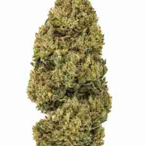Buy Best Chemdawg Marijuana for Sale Online