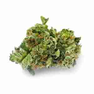 Buy Best G-13 Marijuana for Sale Online